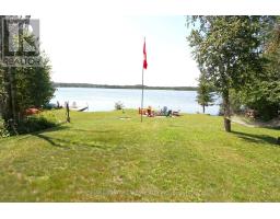 31 Hillcrest Avenue, Kawartha Lakes, ON K0M2B0 Photo 35