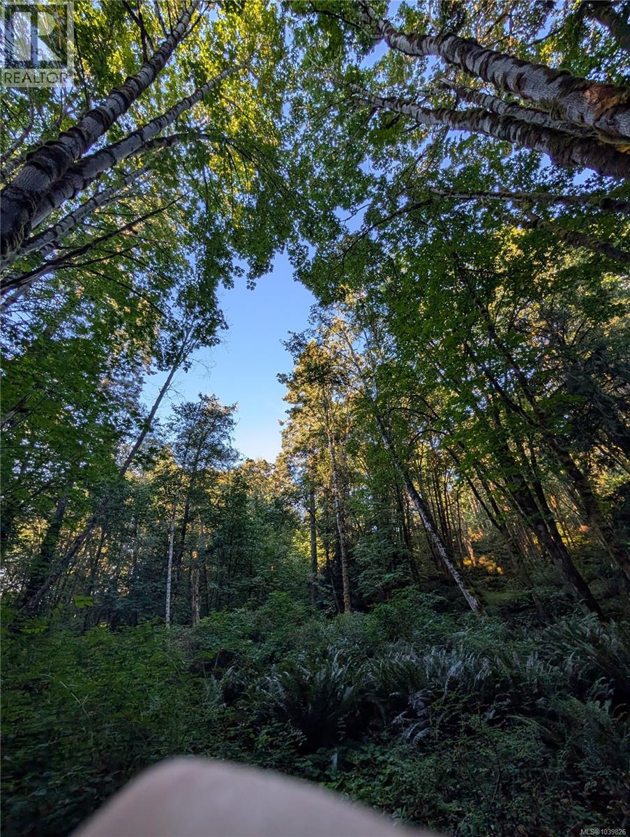2333 Summerset Rd - Image 84