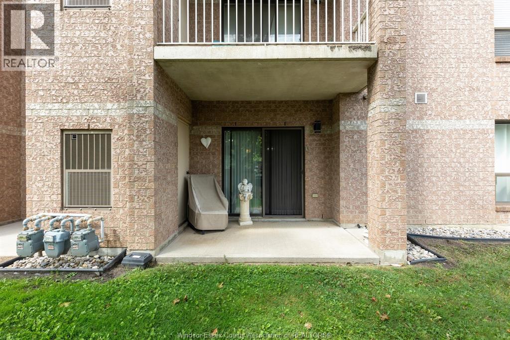 #114 451 GRAND MARAIS ROAD West - 21