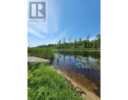 99 Kreger Rd, Lake Of The Woods, ON P0W1M0 Photo 9