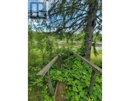 99 Kreger Rd, Lake Of The Woods, ON P0W1M0 Photo 6