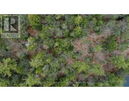 4 Wee Gee Wa Road, Seguin, ON P2A0E8 Photo 15