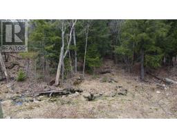 4 Wee Gee Wa Road, Seguin, ON P2A0E8 Photo 17