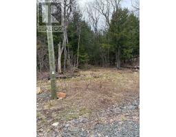 4 Wee Gee Wa Road, Seguin, ON P2A0E8 Photo 21