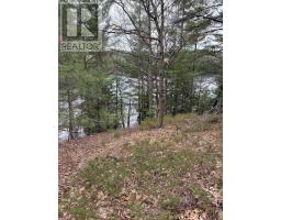 4 Wee Gee Wa Road, Seguin, ON P2A0E8 Photo 22
