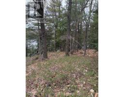4 Wee Gee Wa Road, Seguin, ON P2A0E8 Photo 23