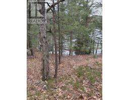 4 Wee Gee Wa Road, Seguin, ON P2A0E8 Photo 24