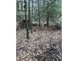 4 Wee Gee Wa Road, Seguin, ON P2A0E8 Photo 25