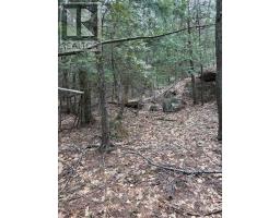 4 Wee Gee Wa Road, Seguin, ON P2A0E8 Photo 26