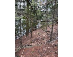 4 Wee Gee Wa Road, Seguin, ON P2A0E8 Photo 27