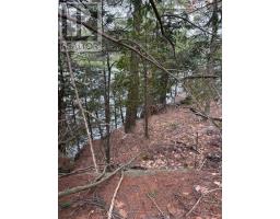 4 Wee Gee Wa Road, Seguin, ON P2A0E8 Photo 28