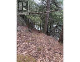 4 Wee Gee Wa Road, Seguin, ON P2A0E8 Photo 29