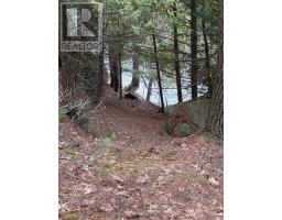 4 Wee Gee Wa Road, Seguin, ON P2A0E8 Photo 30
