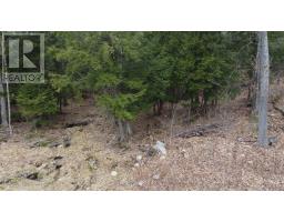 4 Wee Gee Wa Road, Seguin, ON P2A0E8 Photo 31