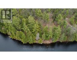 4 Wee Gee Wa Road, Seguin, ON P2A0E8 Photo 6