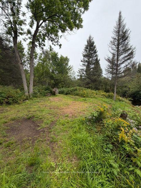 1856 PAPINEAU ROAD - 50
