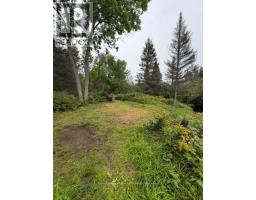 1856 Papineau Road, Papineau Cameron, ON P0H1V0 Photo 50