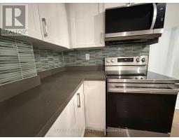 Lower - 63 Ernest Avenue, Toronto, ON M2J3T4 Photo 18