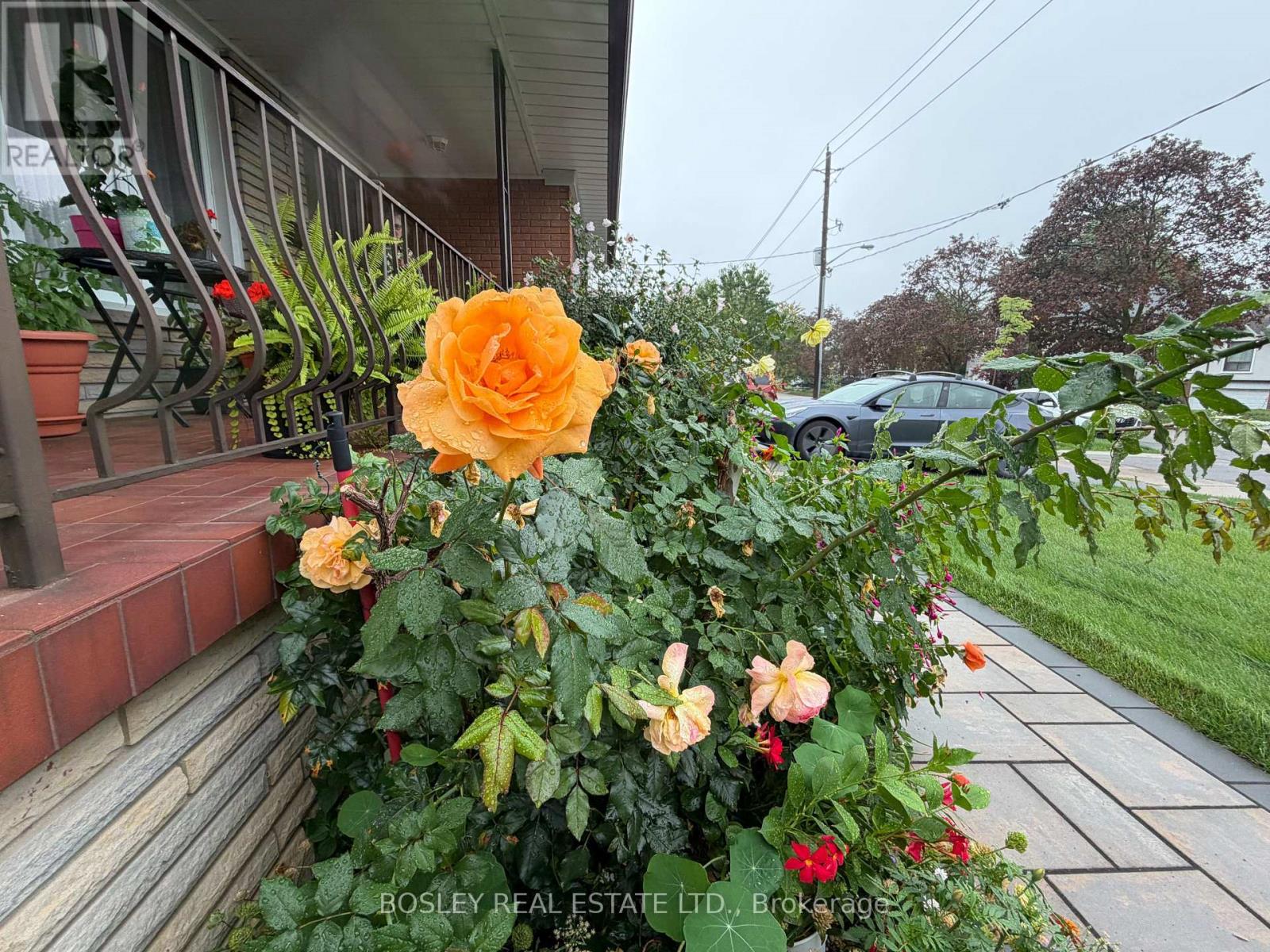 63 Ernest Avenue — photo 33