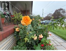Lower - 63 Ernest Avenue, Toronto, ON M2J3T4 Photo 33