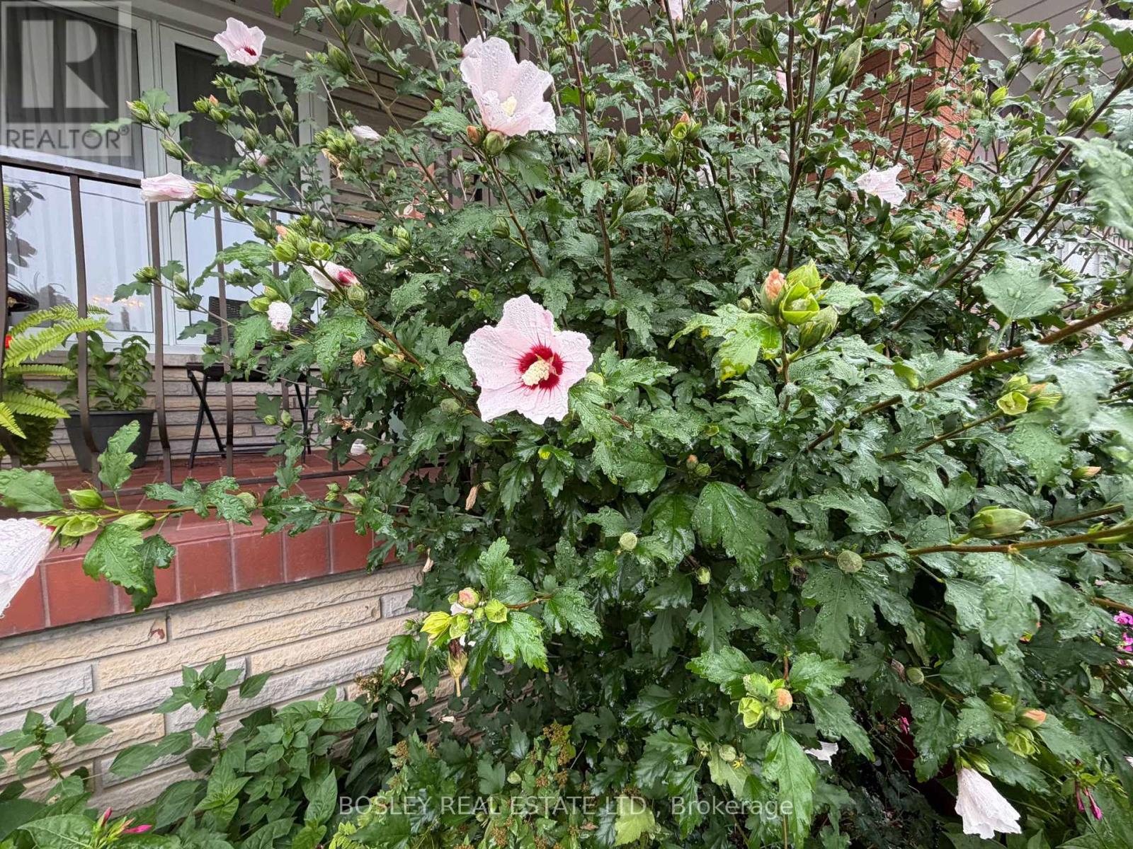 63 Ernest Avenue — photo 34