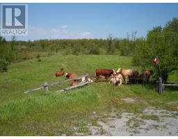 1178 County Rd 121 Road, Kawartha Lakes, ON K0M1N0 Photo 12