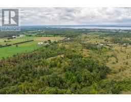 1178 County Rd 121 Road, Kawartha Lakes, ON K0M1N0 Photo 10