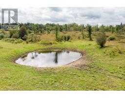 1178 County Rd 121 Road, Kawartha Lakes, ON K0M1N0 Photo 8
