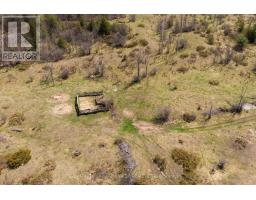 1178 County Rd 121 Road, Kawartha Lakes, ON K0M1N0 Photo 13