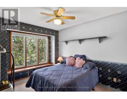 Cold room - 153 Pleasant Point Road, Kawartha Lakes, ON K9V4R6 Photo 19