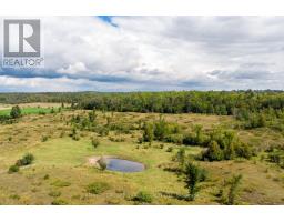 1178 County Rd 121 Road, Kawartha Lakes, ON K0M1N0 Photo 11