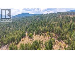 Lot A Dure Meadow S. Road, Lumby, BC V0E2G7 Photo 41