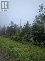 5937 Highway 11/17, Thunder Bay Remote Area, Ontario, P0T1W0, Thunder Bay Remote Area, Ontario — photo 2 of 5