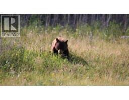 29215 Township Road 3-0, Rural Pincher Creek No  9, M D  Of, AB T0K1W0 Photo 43