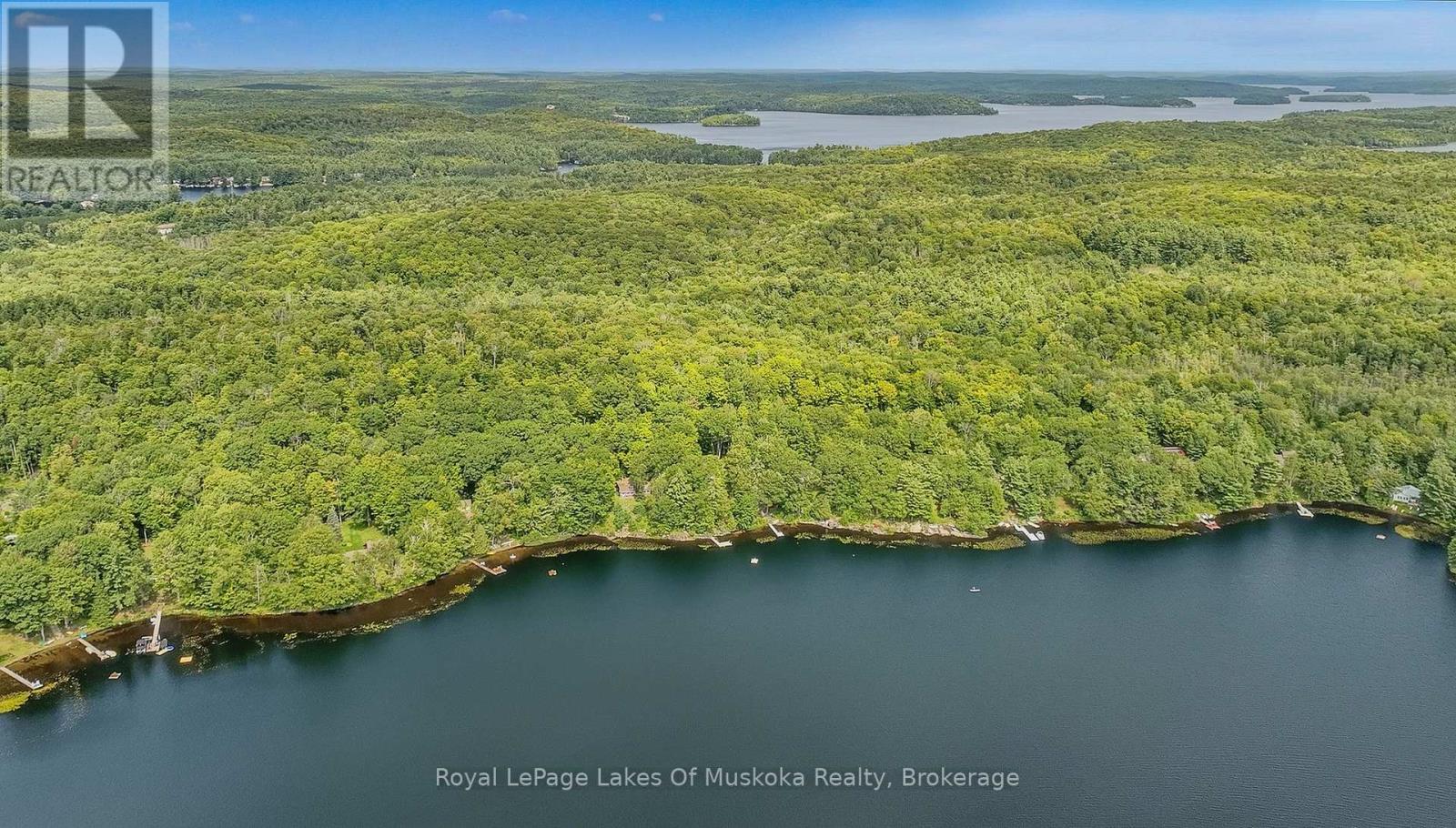 1063 DICKIE LAKE ROAD - 30