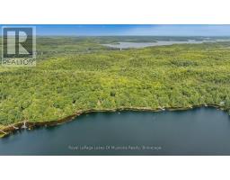 1063 Dickie Lake Road, Lake Of Bays, ON P0B1A0 Photo 30