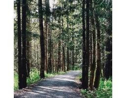 18 45390 Vedder Mountain Road, Vedder Mountain, Cultus Lake, BC V2R0P6 Photo 36