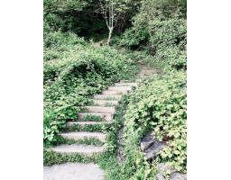 18 45390 Vedder Mountain Road, Vedder Mountain, Cultus Lake, BC V2R0P6 Photo 39