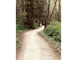 18 45390 Vedder Mountain Road, Vedder Mountain, Cultus Lake, BC V2R0P6 Photo 40