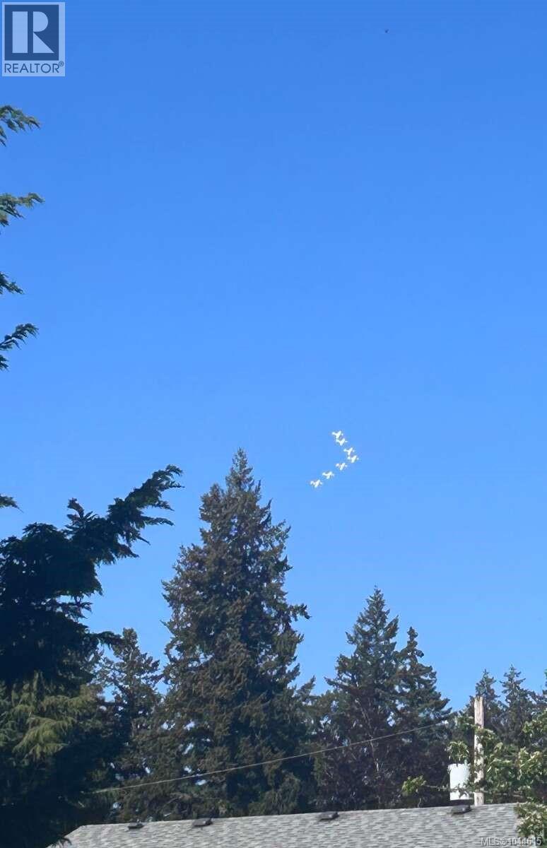 347 Pritchard Rd - 15