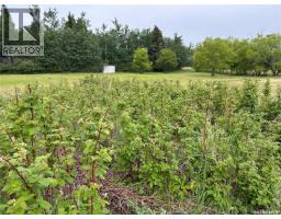Turtleford Acreage., Mervin Rm No 499, SK S0M0G4 Photo 50