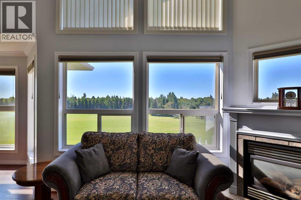 View from the Living Room