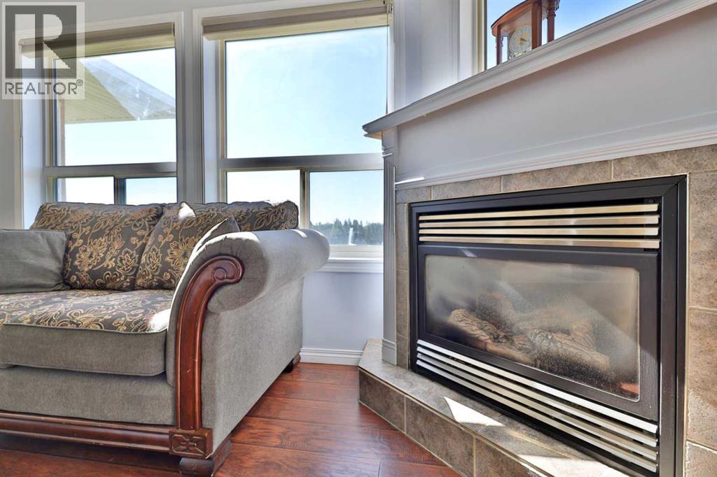Cozy Gas Fireplace