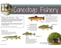 Lot 129 Road 100, Conestogo Lake, ON N0G1P0 Photo 12