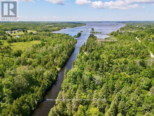 81 McGuire Beach Road, Kawartha Lakes (Carden), Ontario, K0M2B0, Kawartha Lakes (Carden), Ontario — photo 3 of 5