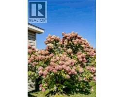 429 Saint-athanase, Rogersville, NB E4Y2V7 Photo 38