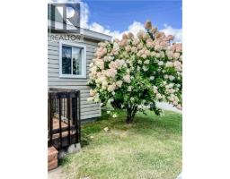 429 Saint-athanase, Rogersville, NB E4Y2V7 Photo 40