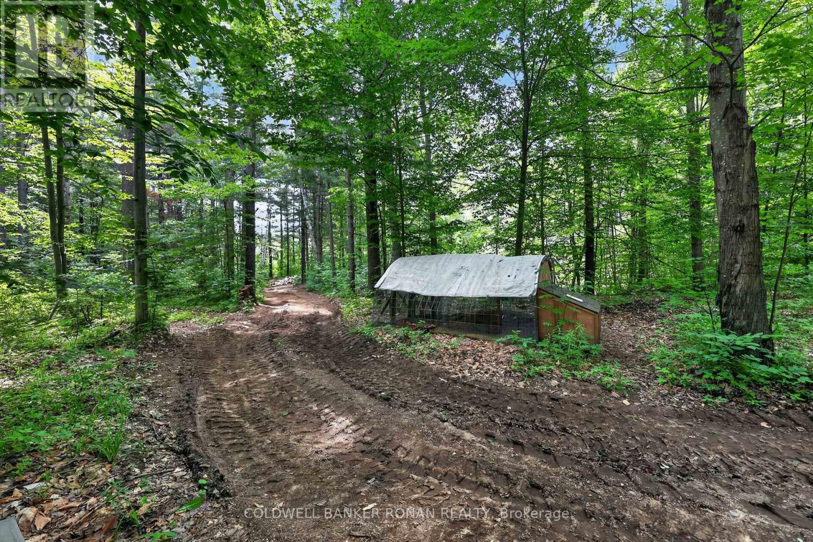 9087 WEBSTER ROAD - 42