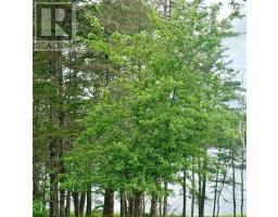 284 Gardners Mill Road, Gardners Mills, NS B5A5N5 Photo 18