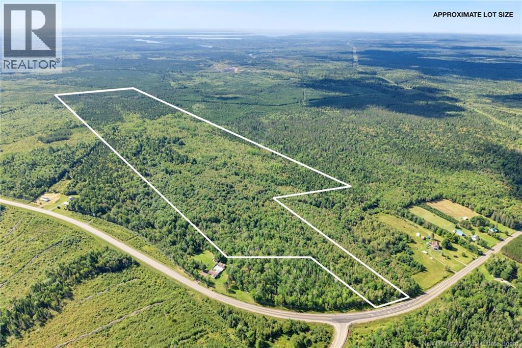 Lot Route 10, Upper Salmon Creek, New Brunswick, O0O0O0, Upper Salmon Creek, New Brunswick — photo 4 of 5